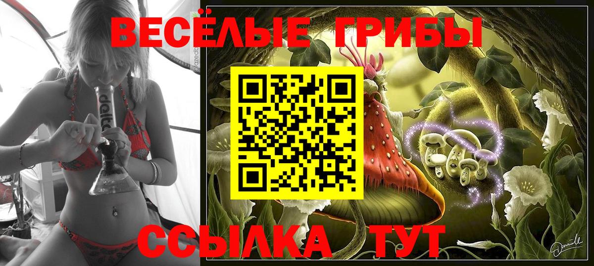 Галлюциногенные грибы MAGIC MUSHROOMS Шахты