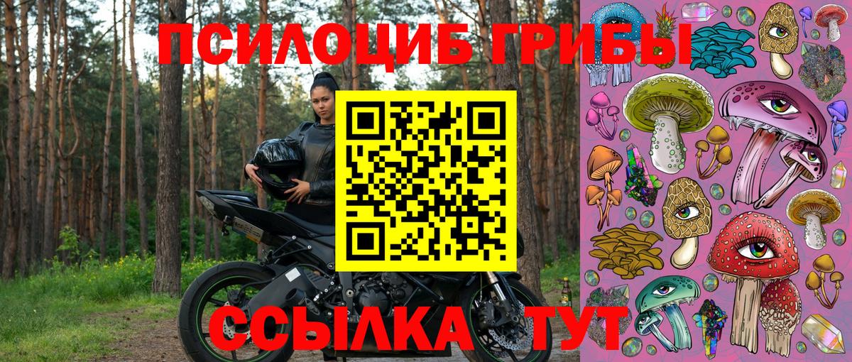 Псилоцибиновые грибы Magic Shrooms  Псилоцибиновые грибы прущие грибы  Вход с VPN  Шахты 